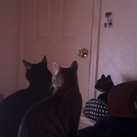 Meet your Posher, Melina - Picture 2 of 2